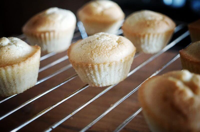 Low Carb Muffins Base Recipe