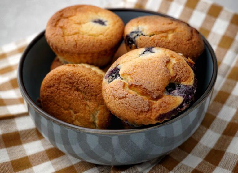blueberry low carb muffins